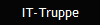 IT-Truppe