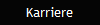 Karriere